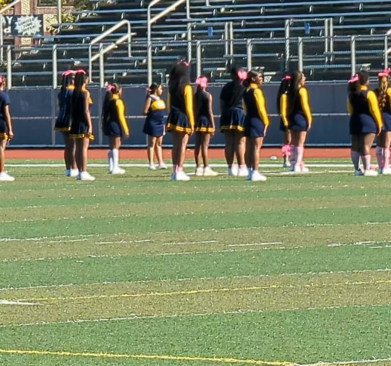 Soccer Field image 3