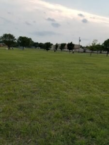 Soccer Field image 1