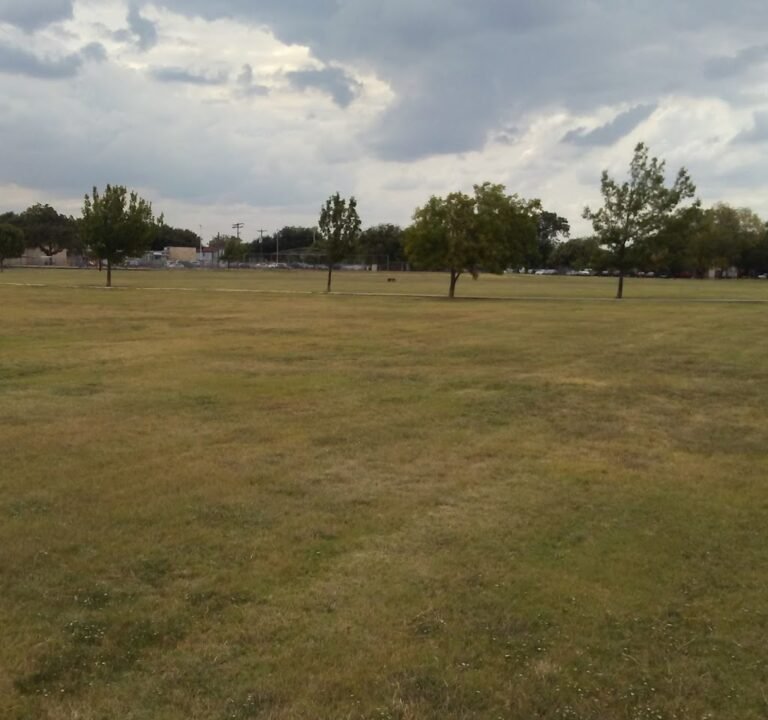 Soccer Field image 2