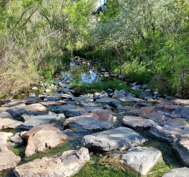 Soccer Field image 2