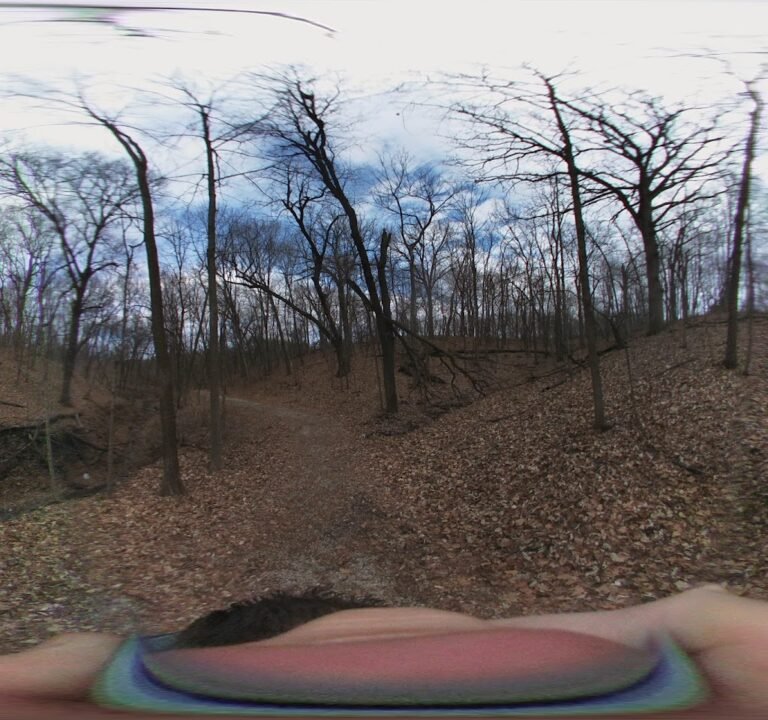 Soccer Field image 3