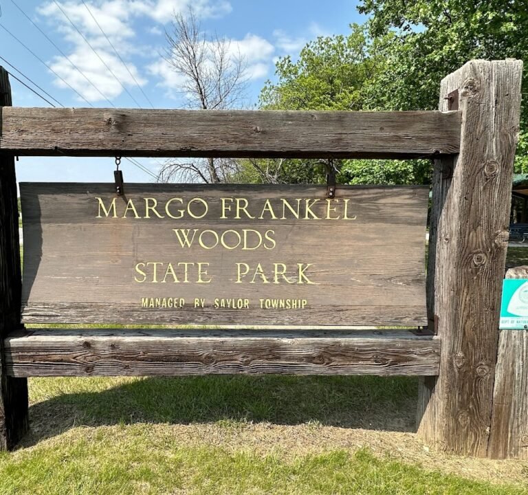 Soccer Field image 2