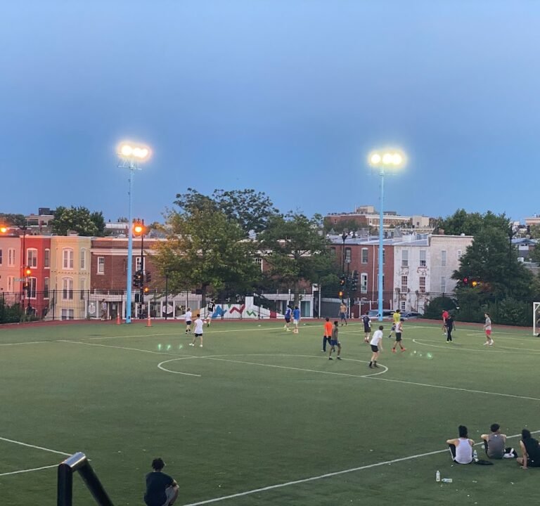 Soccer Field image 2