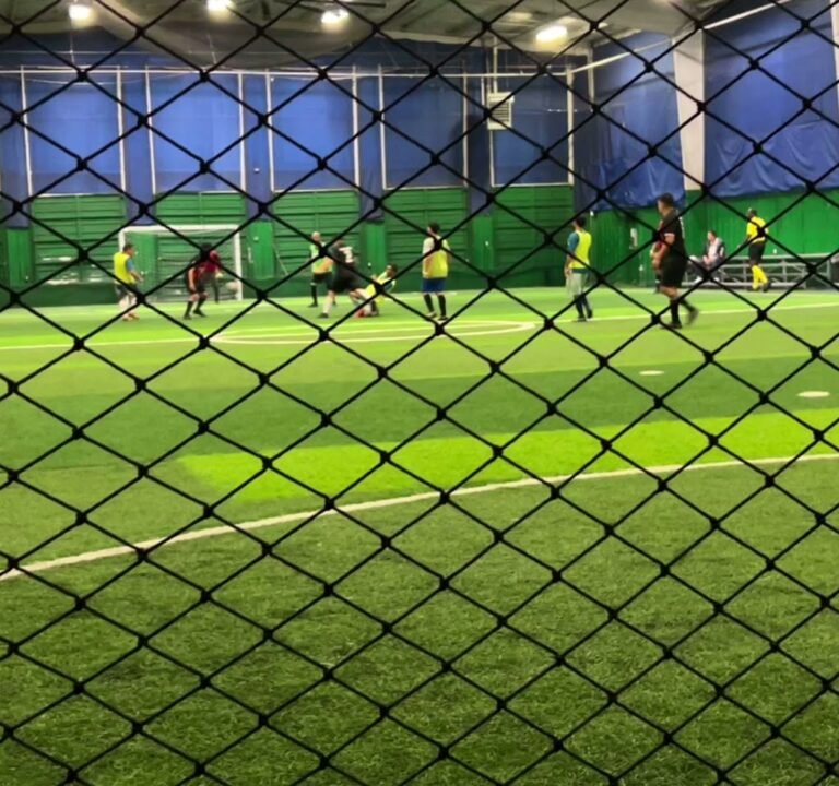 Soccer Field image 4