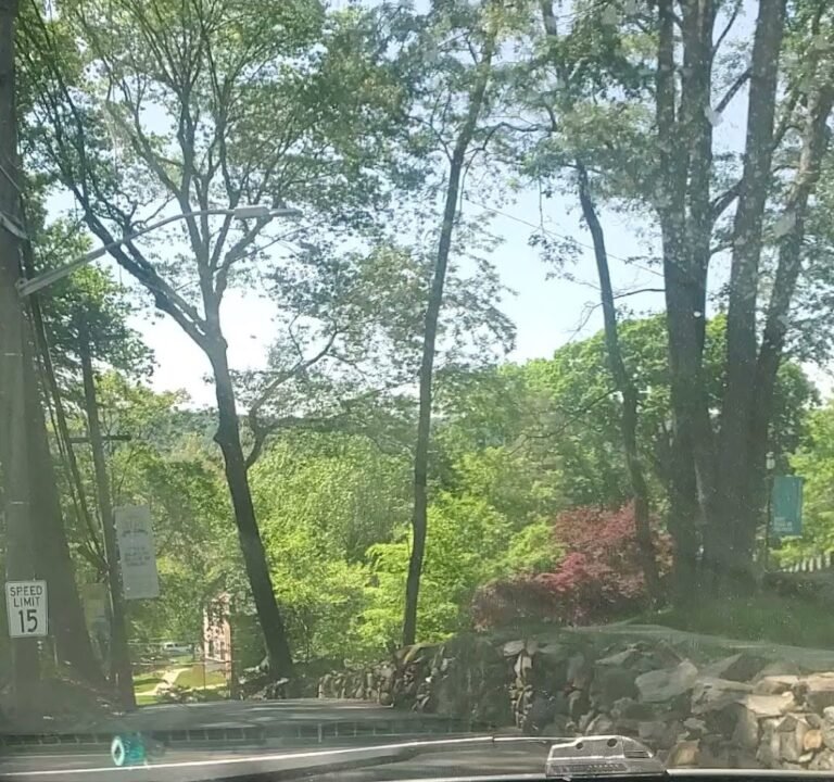 Soccer Field image 3