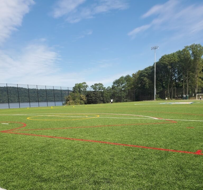 Soccer Field image 2