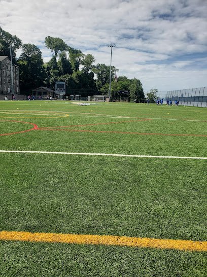 Soccer Field image 1