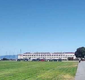 Soccer Field image 4