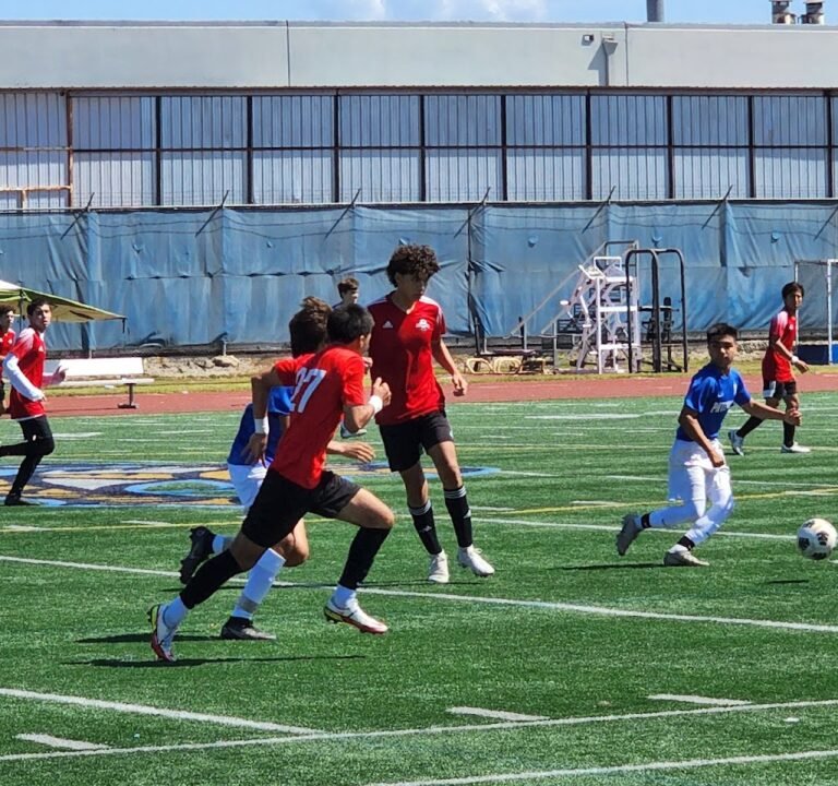 Soccer Field image 3