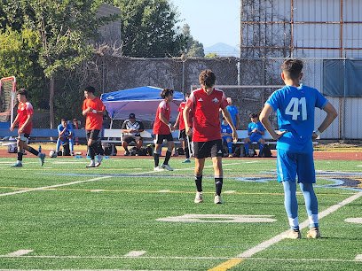 Soccer Field image 1