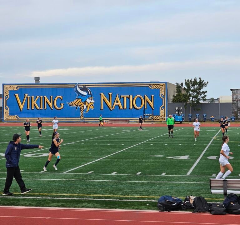 Soccer Field image 2