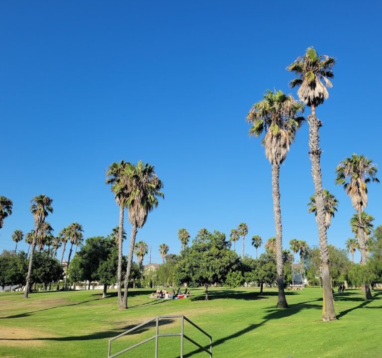 Soccer Field image 2