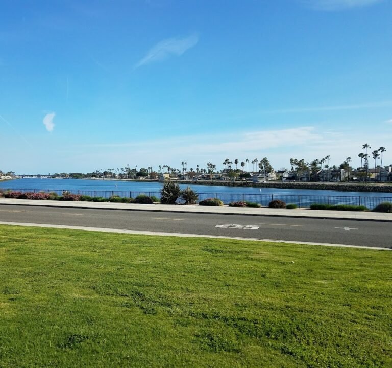 Soccer Field image 3