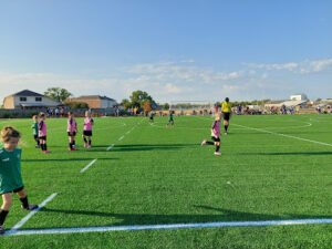 Soccer Field image 1