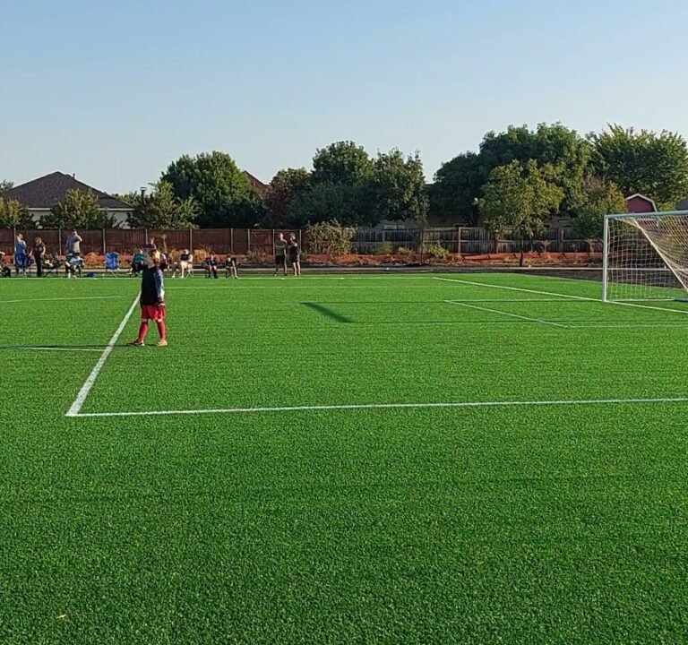 Soccer Field image 3
