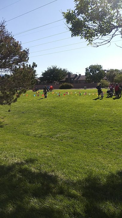 Soccer Field image 1