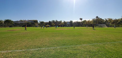 Soccer Field image 1