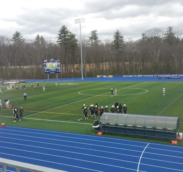 Soccer Field image 2