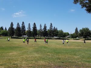 Soccer Field image 1