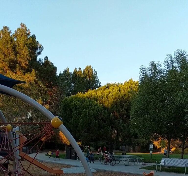 Soccer Field image 4