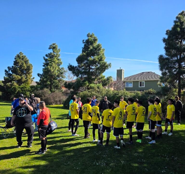 Soccer Field image 3