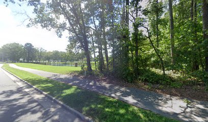 Soccer Field image 1