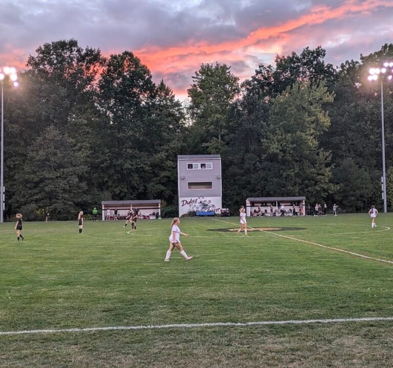Soccer Field image 3