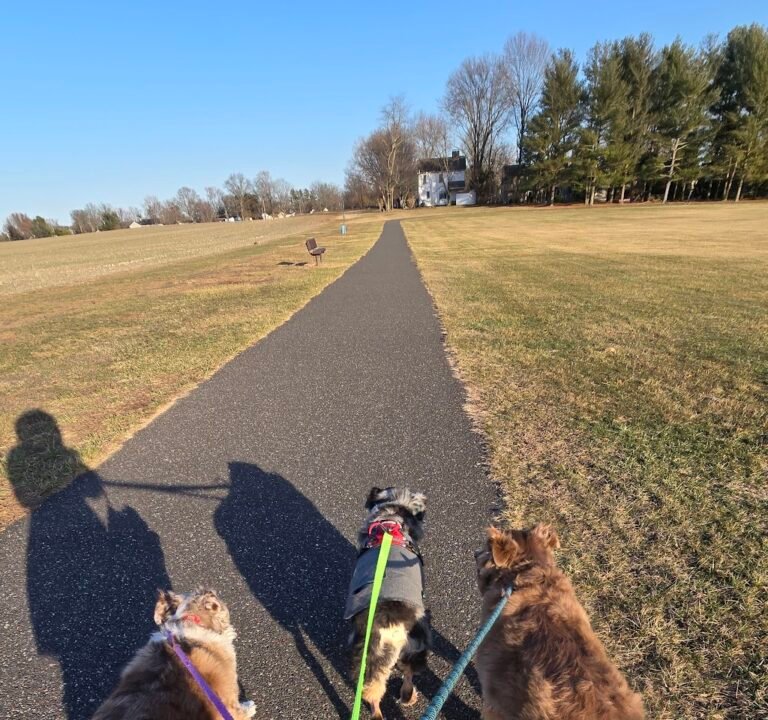 Soccer Field image 3