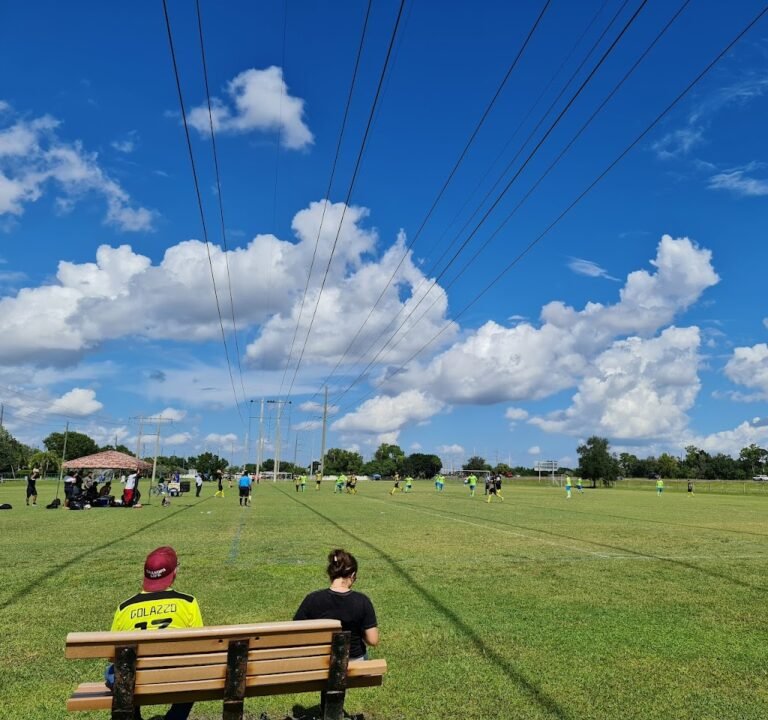 Soccer Field image 2