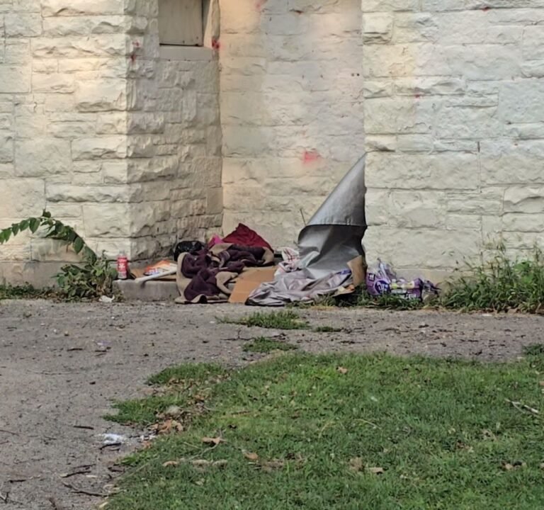 Soccer Field image 2