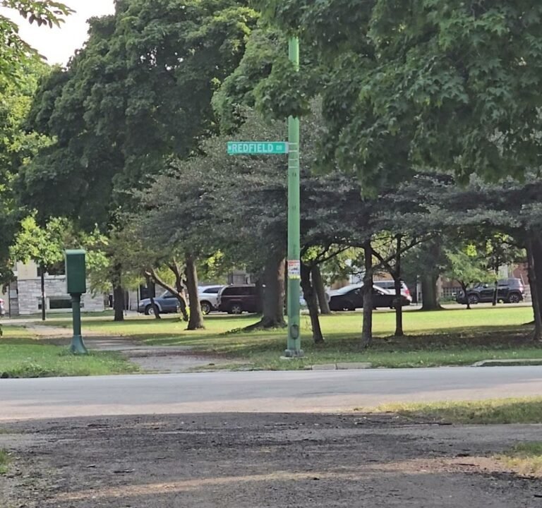 Soccer Field image 4