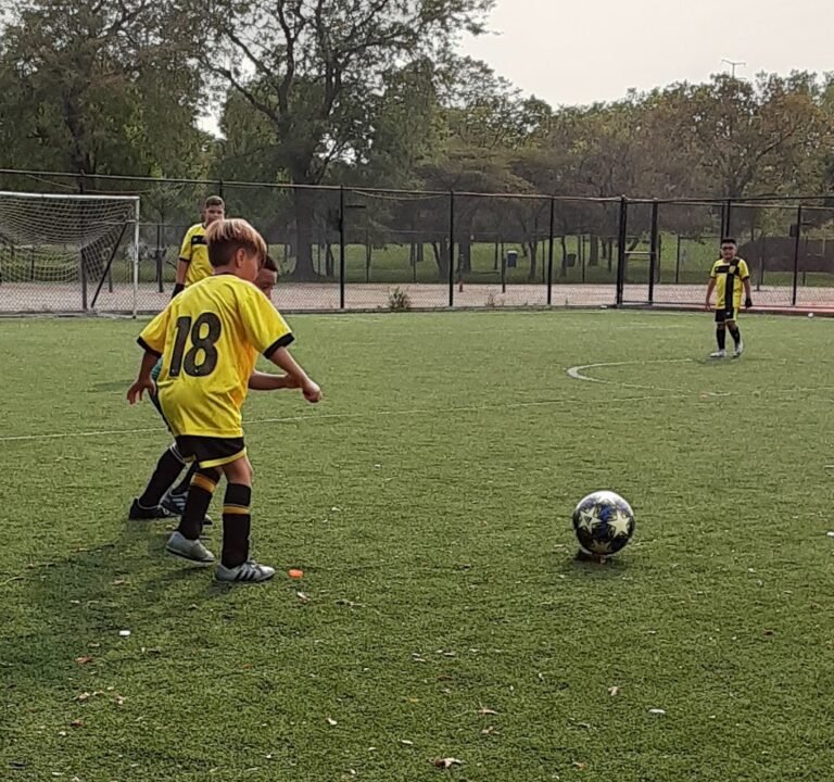 Soccer Field image 3