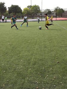 Soccer Field image 1