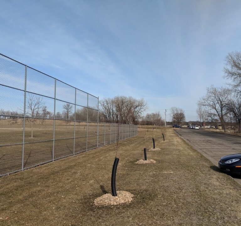 Soccer Field image 2