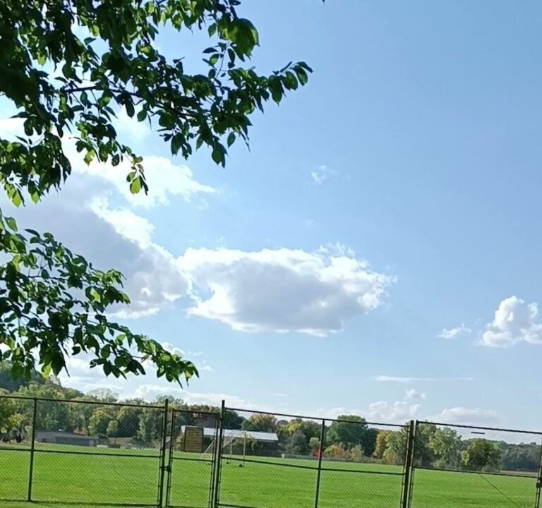 Soccer Field image 4