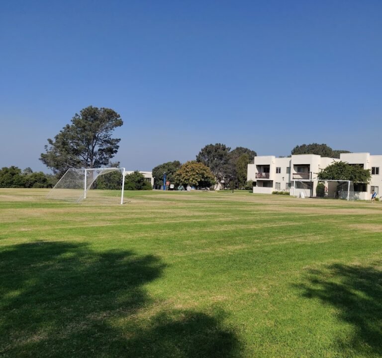 Soccer Field image 2