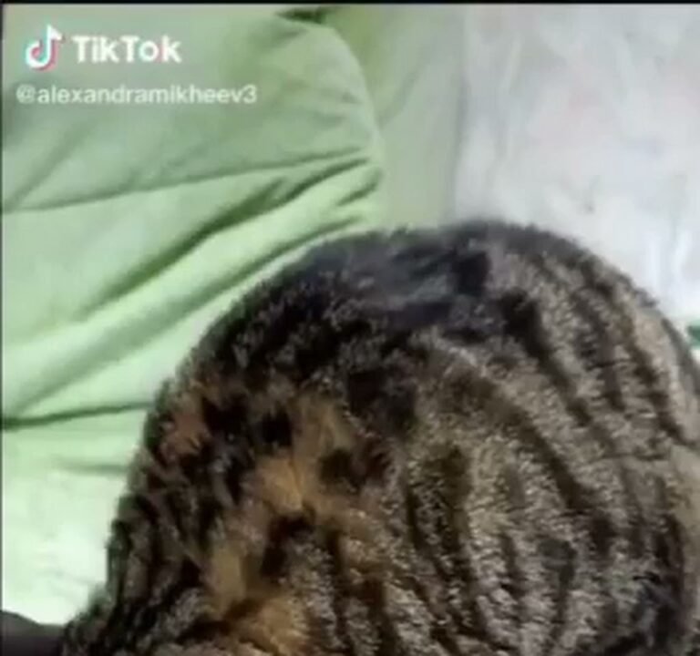 Soccer Field image 3