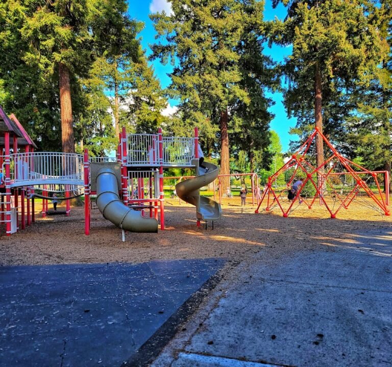 Soccer Field image 2