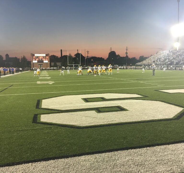 Soccer Field image 2