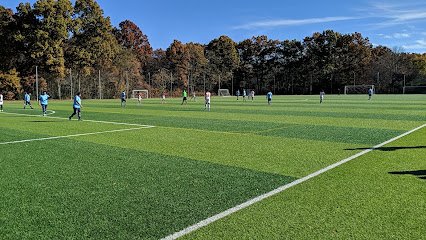 Soccer Field image 1