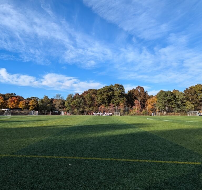 Soccer Field image 2