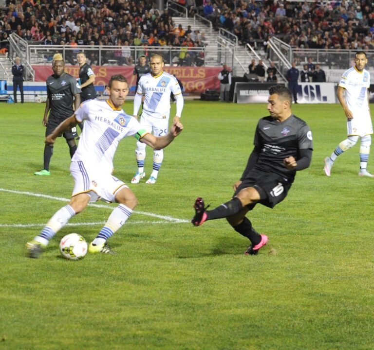 Soccer Field image 2