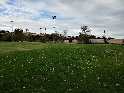 Soccer Field image 1