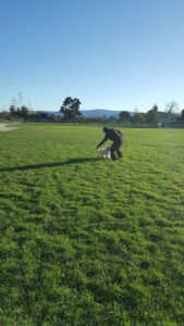 Soccer Field image 1