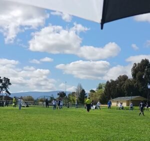 Soccer Field image 2
