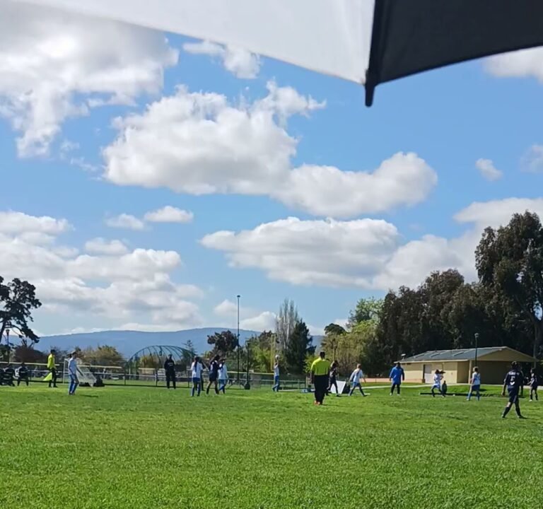 Soccer Field image 2
