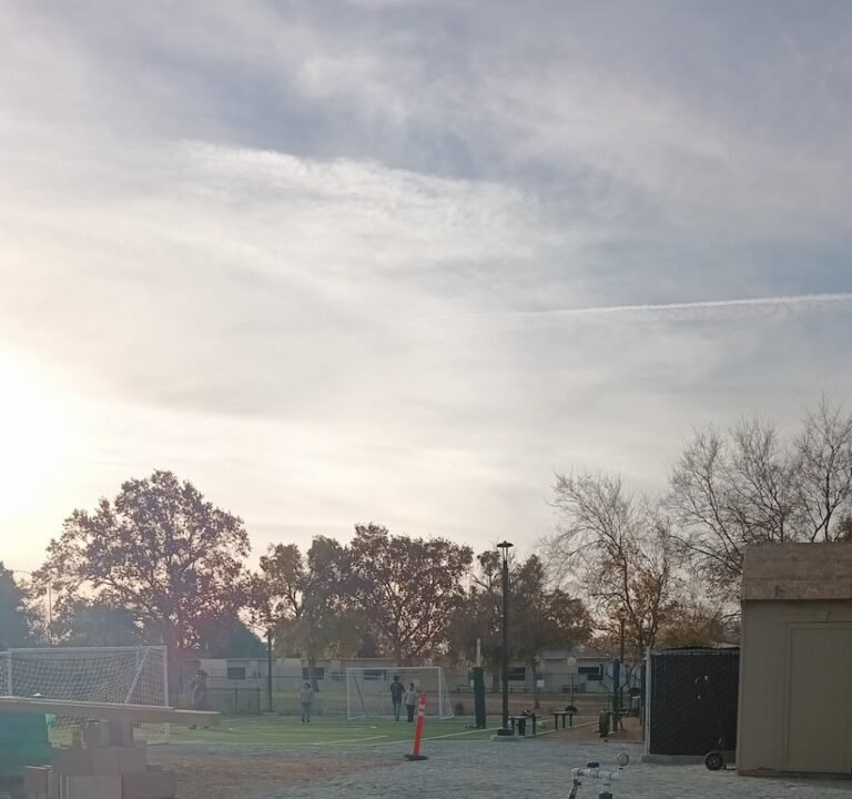 Soccer Field image 2