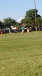 Soccer Field image 1
