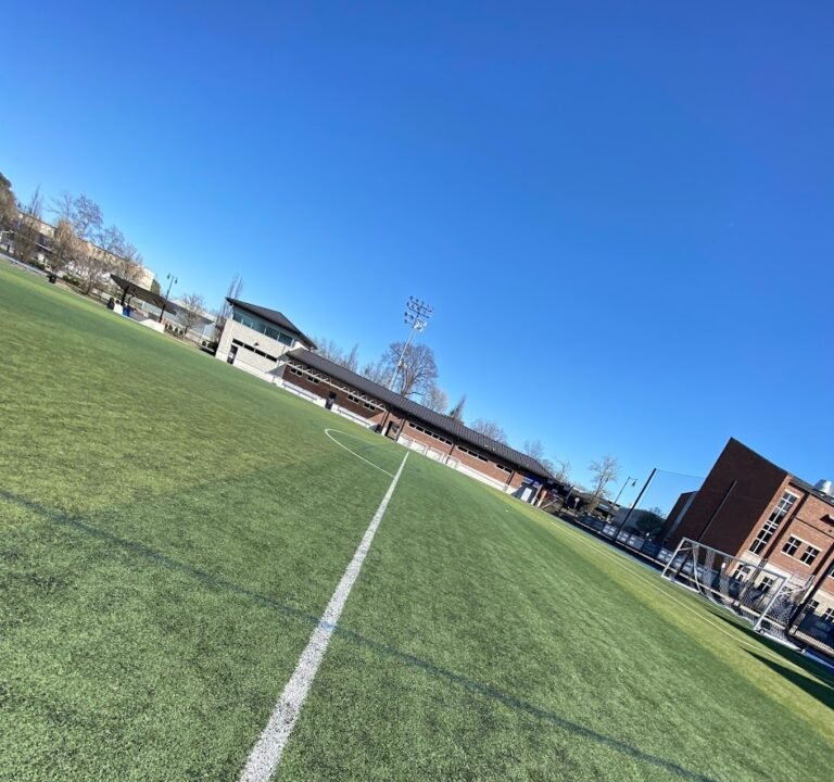 Soccer Field image 3