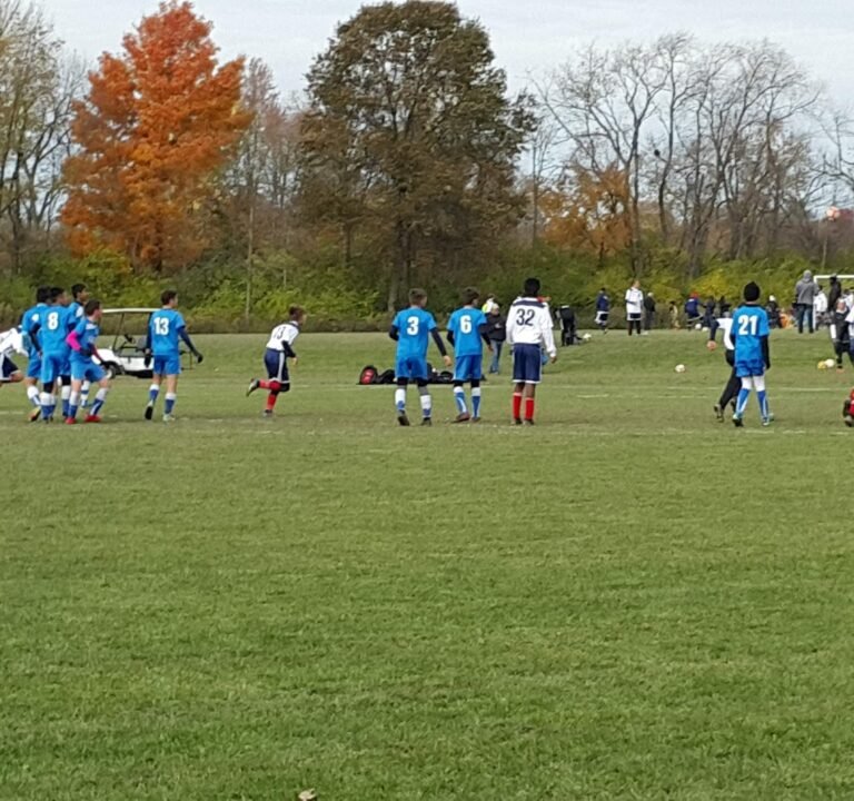 Soccer Field image 3